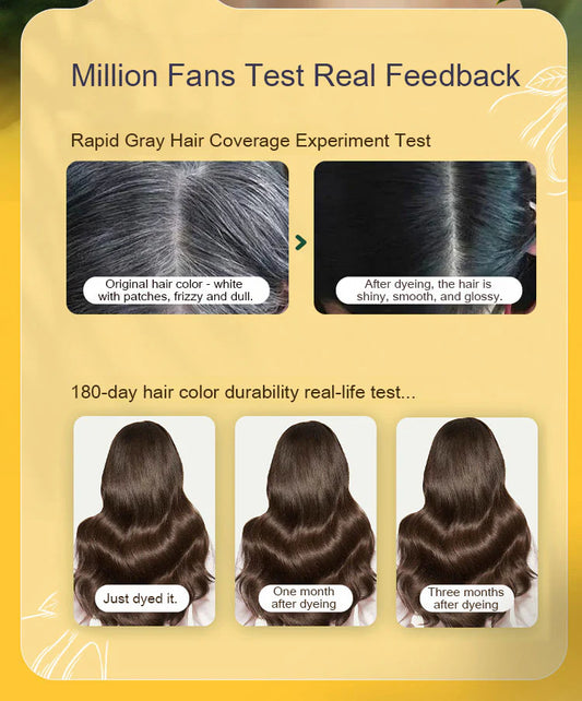 Japanese Long Lasting Natural Hair Dye Shampoo ( Buy 1 Get 1 Free )